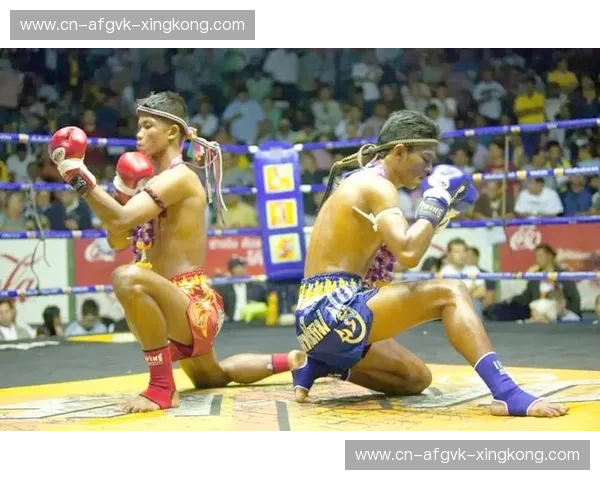 预测泰拳：看见擂台背后的胜负密码